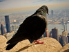 Cool pic